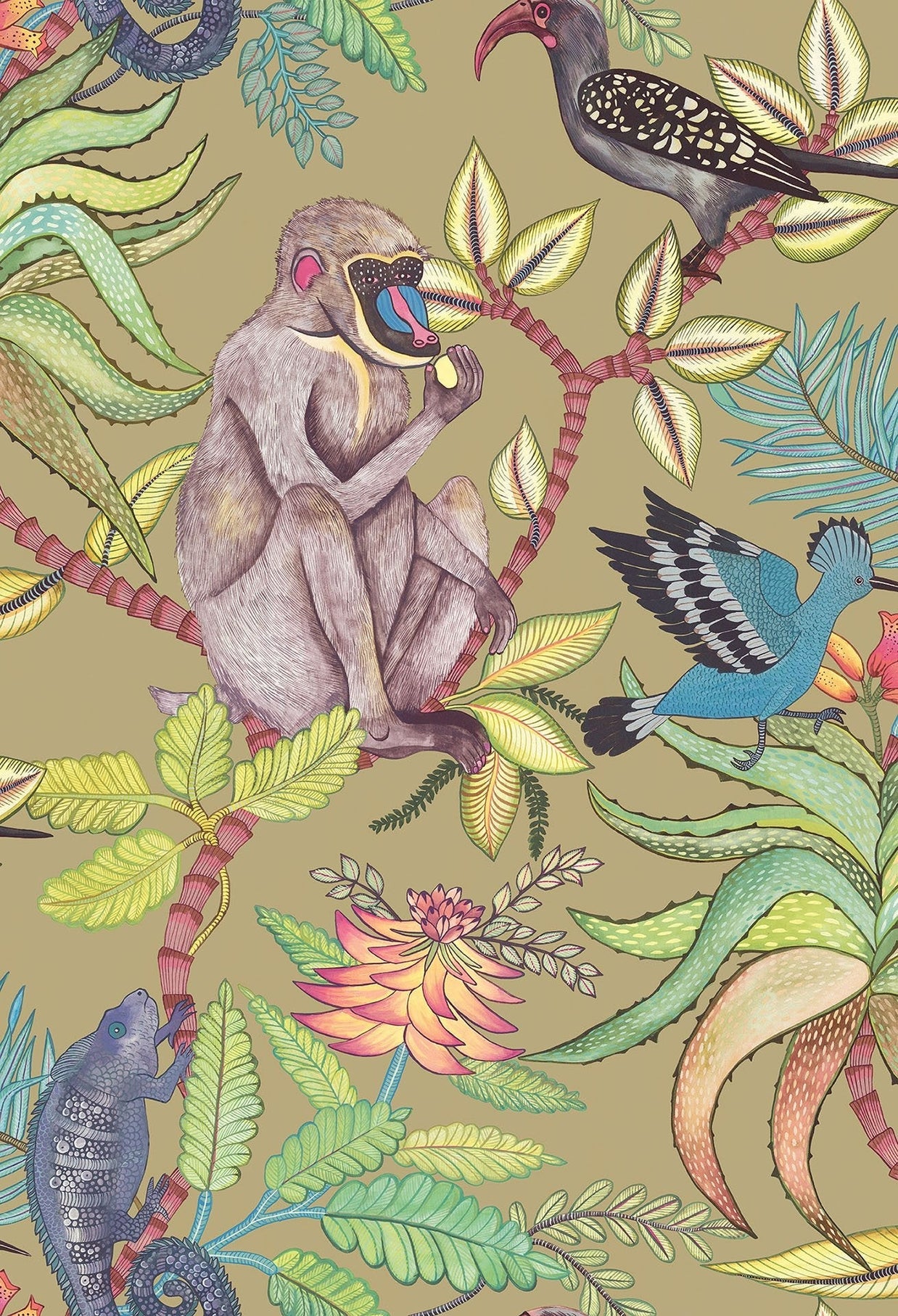 Savuti - Cole&son