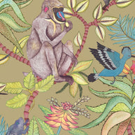 Savuti - Cole&son