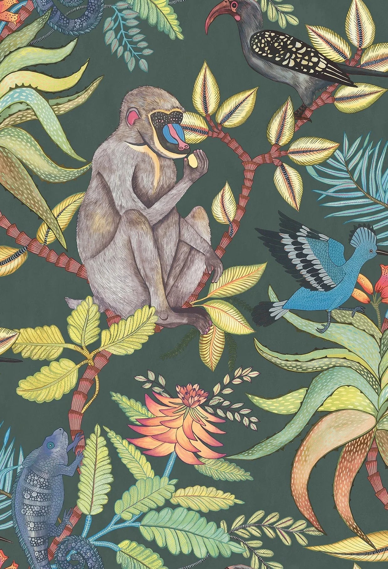 Savuti - Cole&son