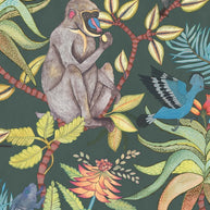 Savuti - Cole&son