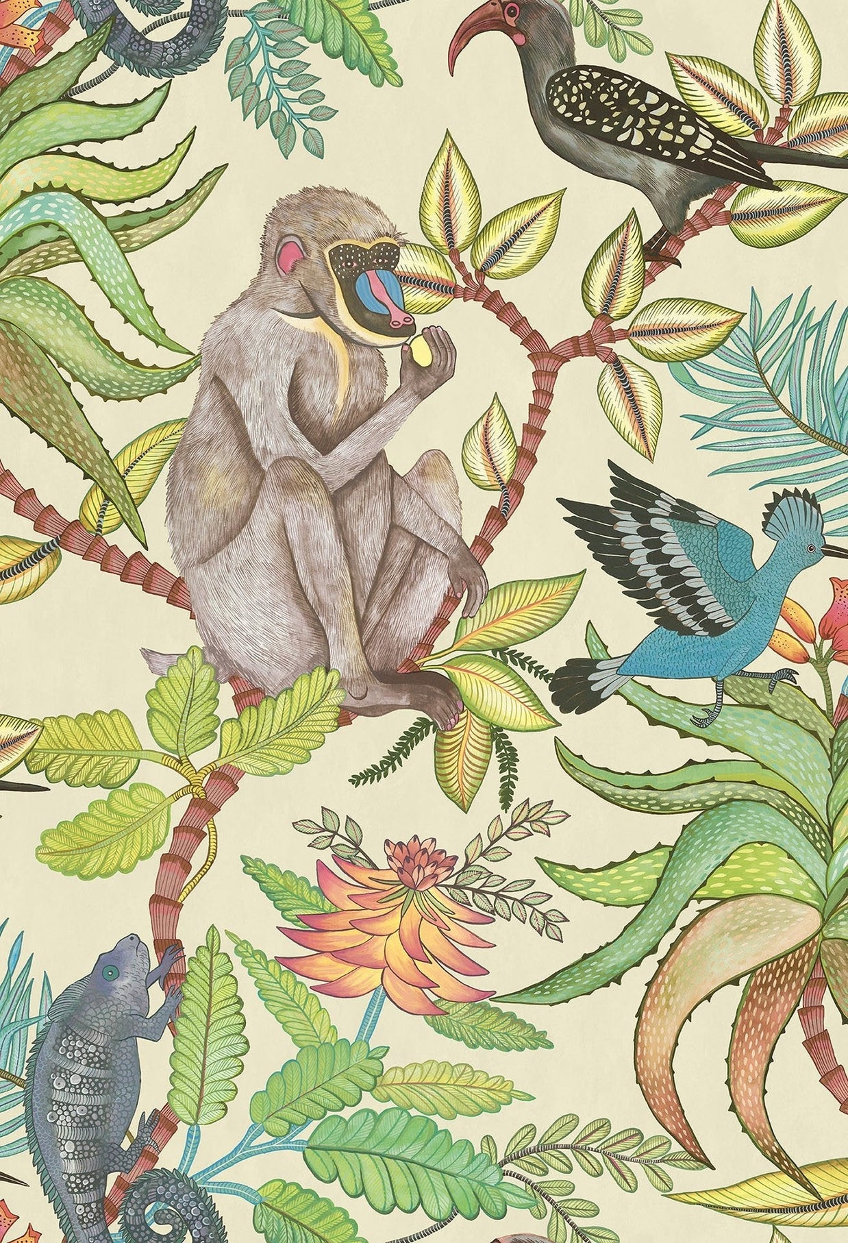 Savuti - Cole&son