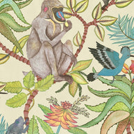 Savuti - Cole&son