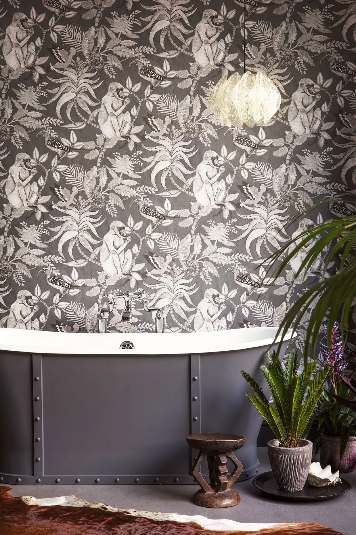 Savuti - Cole&son