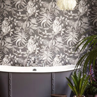 Savuti - Cole&son