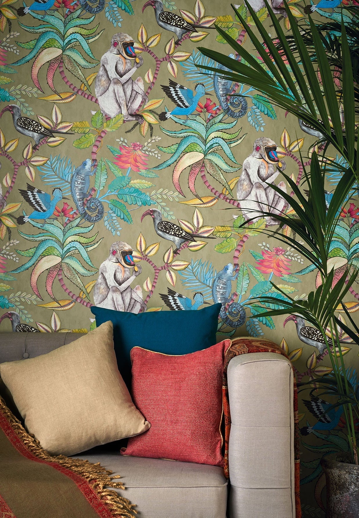 Savuti - Cole&son