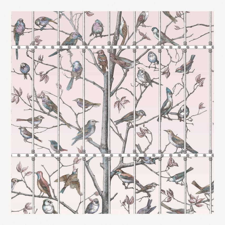 Carta da parati Uccelli by Fornasetti - Cole&Son