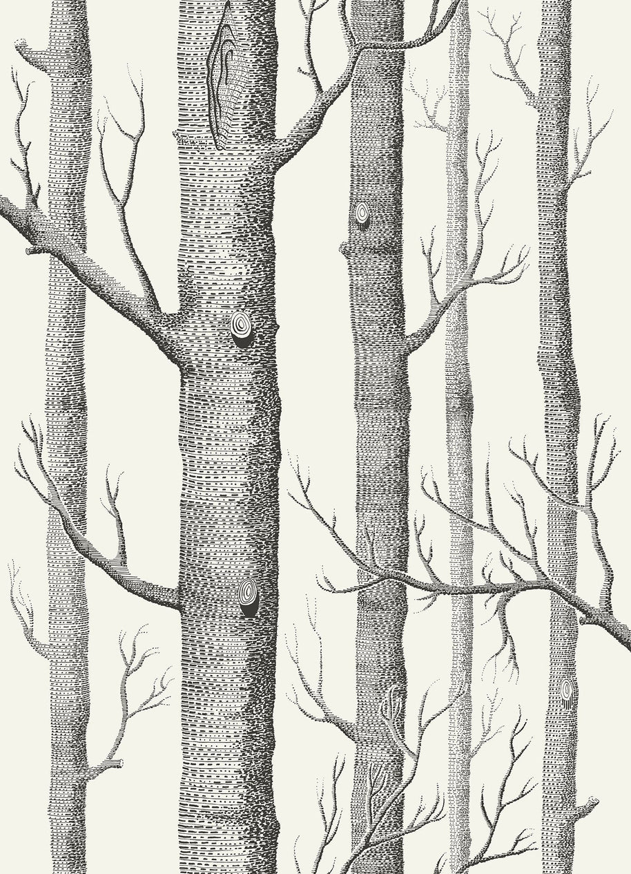 Woods by Cole&Son
