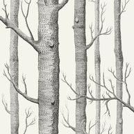 Woods by Cole&Son