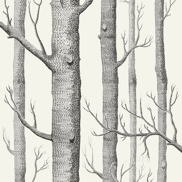 Woods by Cole&Son
