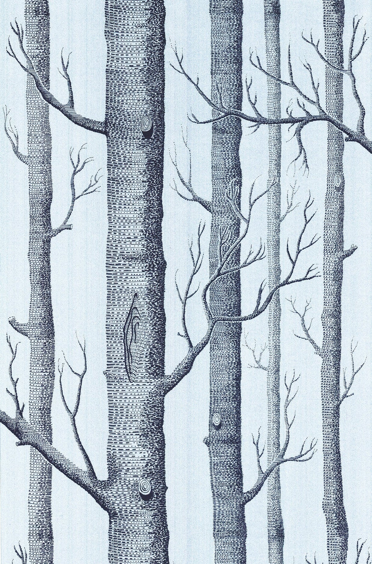Woods by Cole&Son
