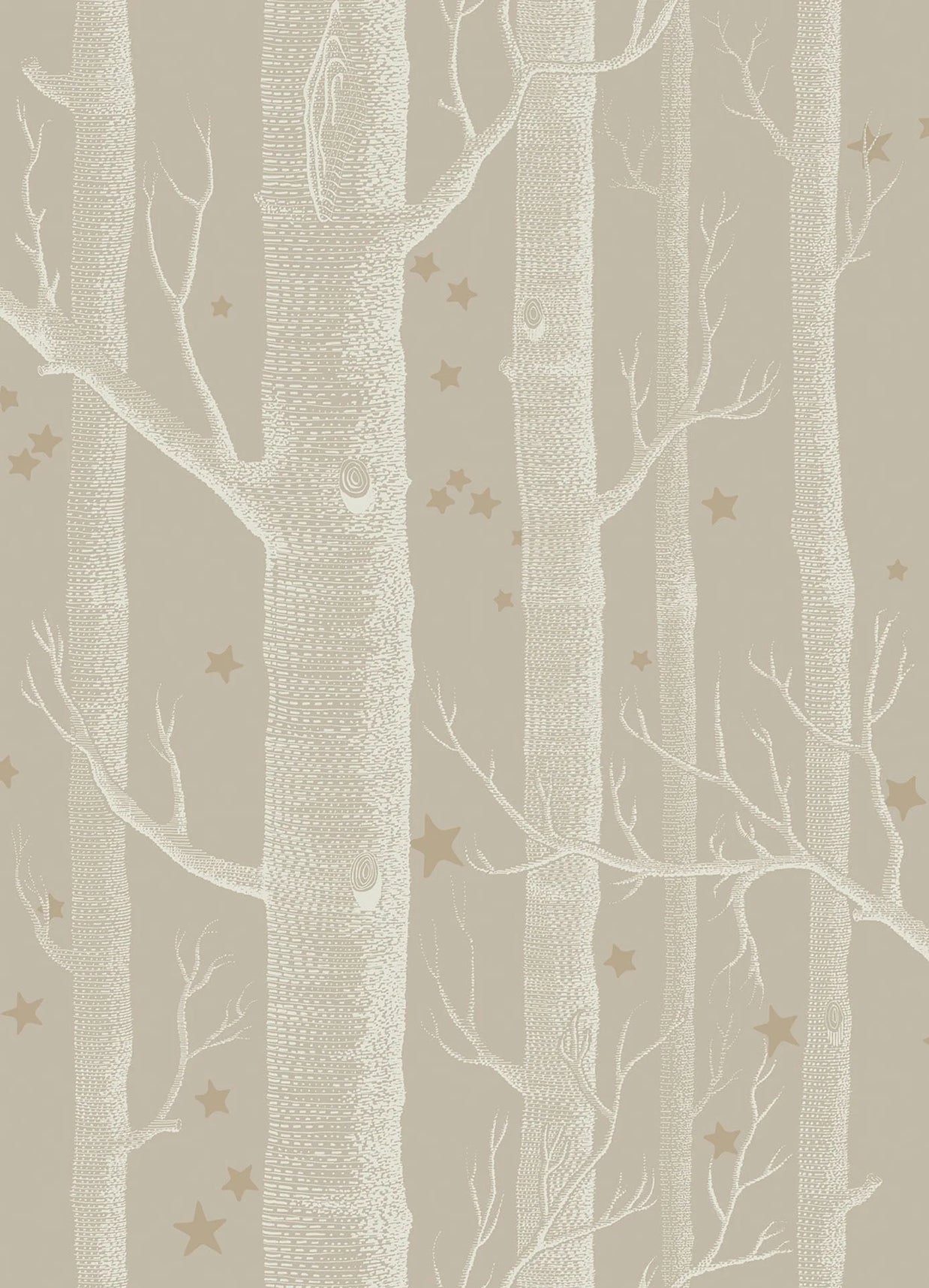 Boschi e stelle by Cole & Son