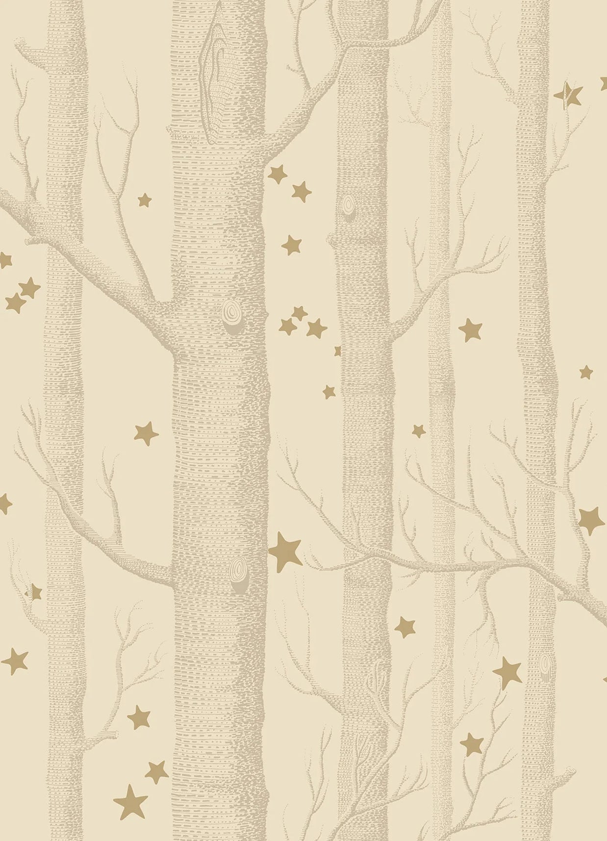 Boschi e stelle by Cole & Son