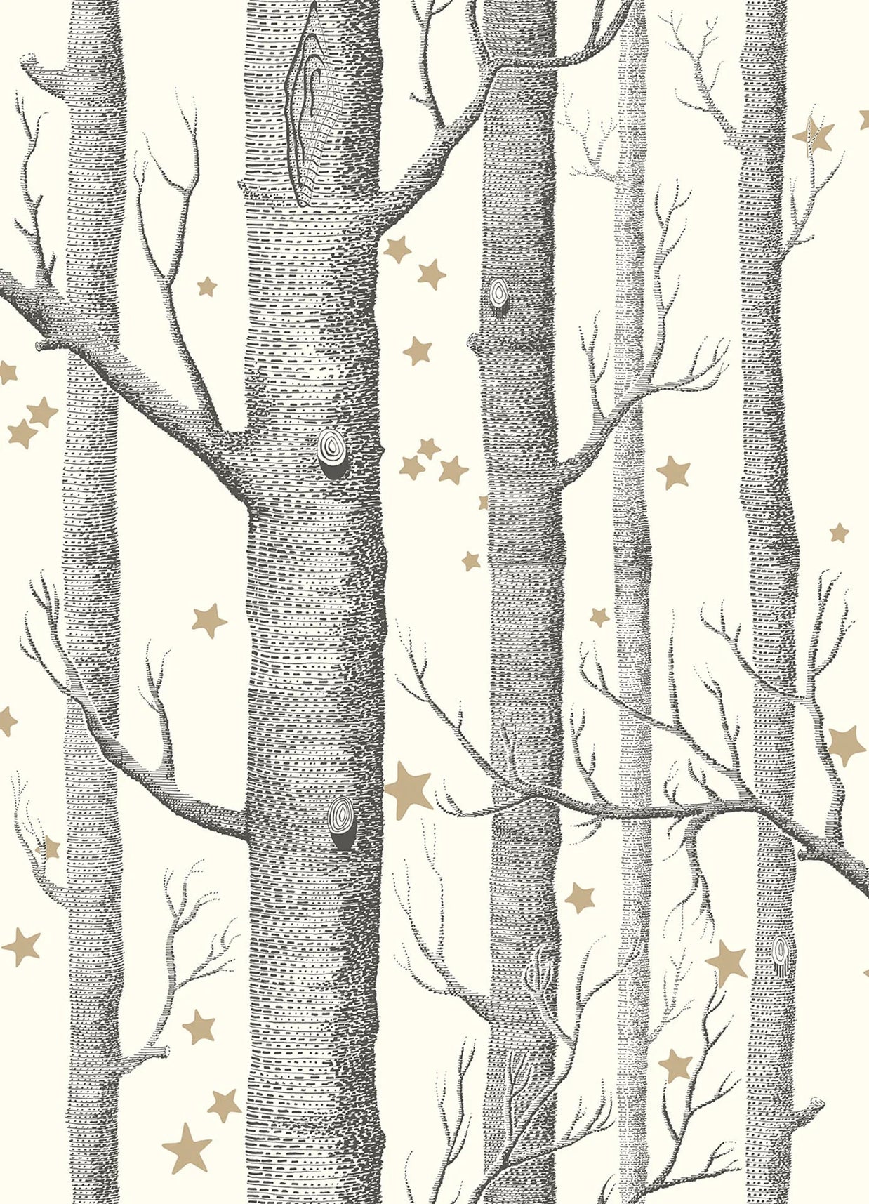 Boschi e stelle by Cole & Son