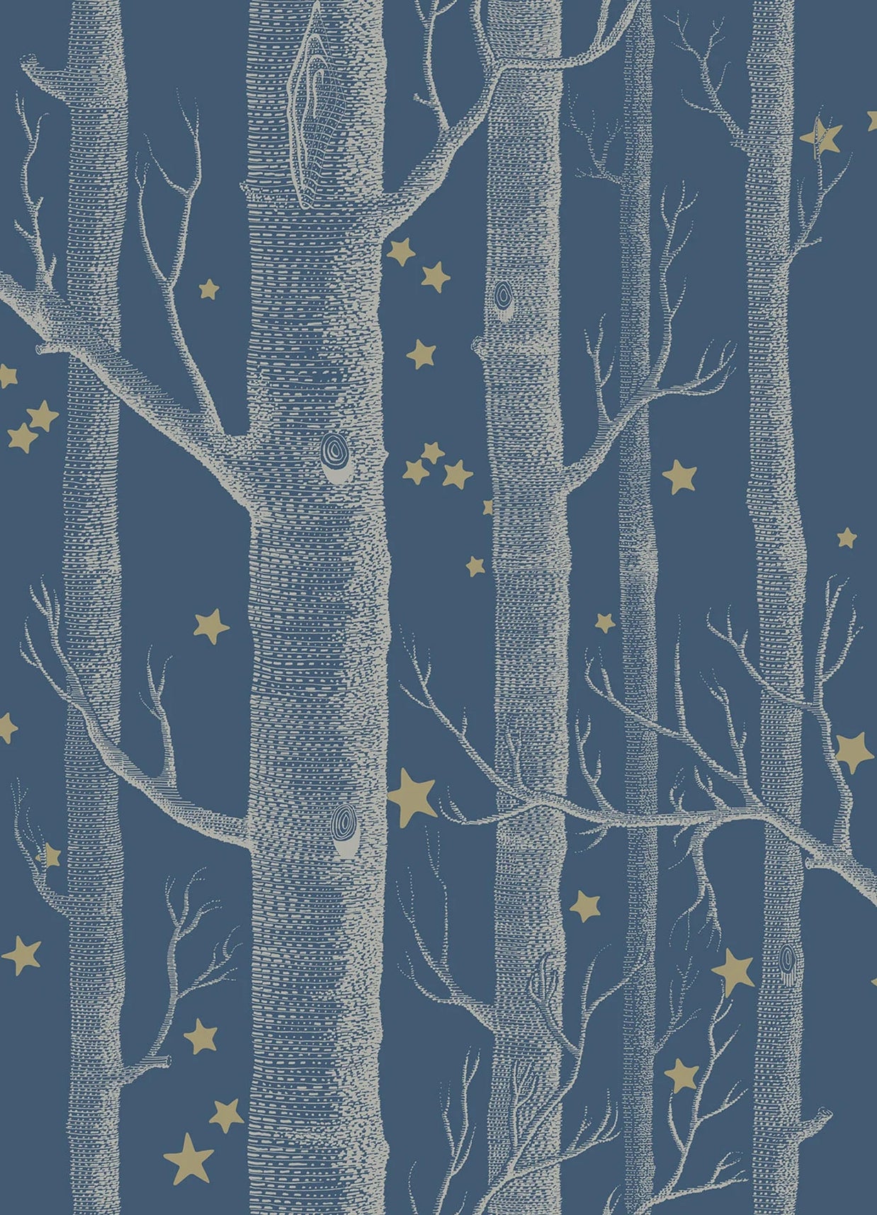 Boschi e stelle by Cole & Son