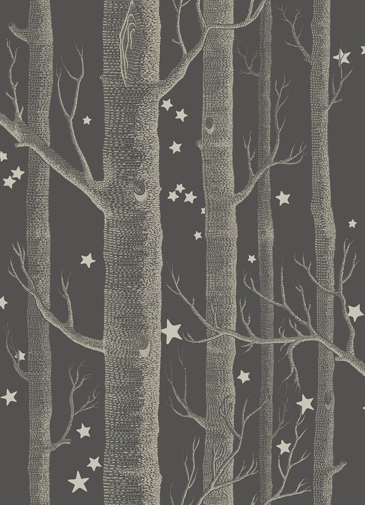 Boschi e stelle by Cole & Son