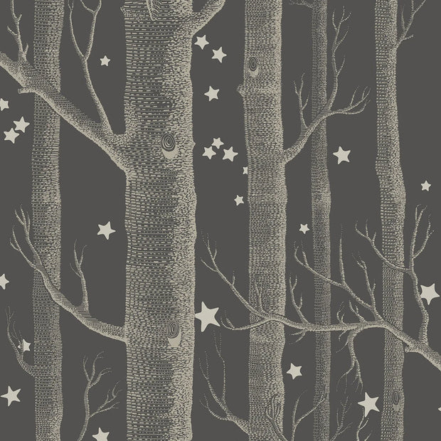 Boschi e stelle by Cole & Son