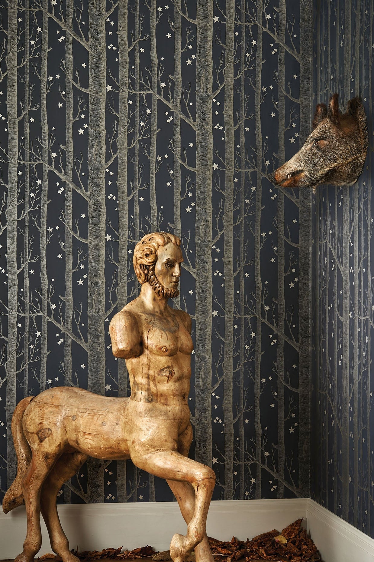 Boschi e stelle by Cole & Son