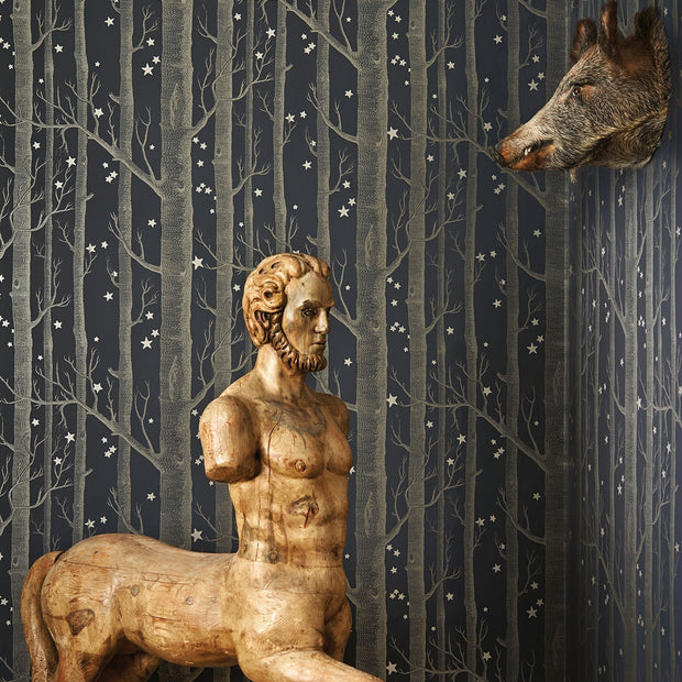 Boschi e stelle by Cole & Son