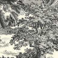 Amazone salcey forest