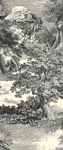 Amazone salcey forest