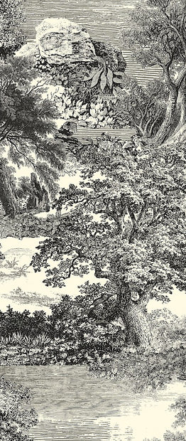 Amazone salcey forest