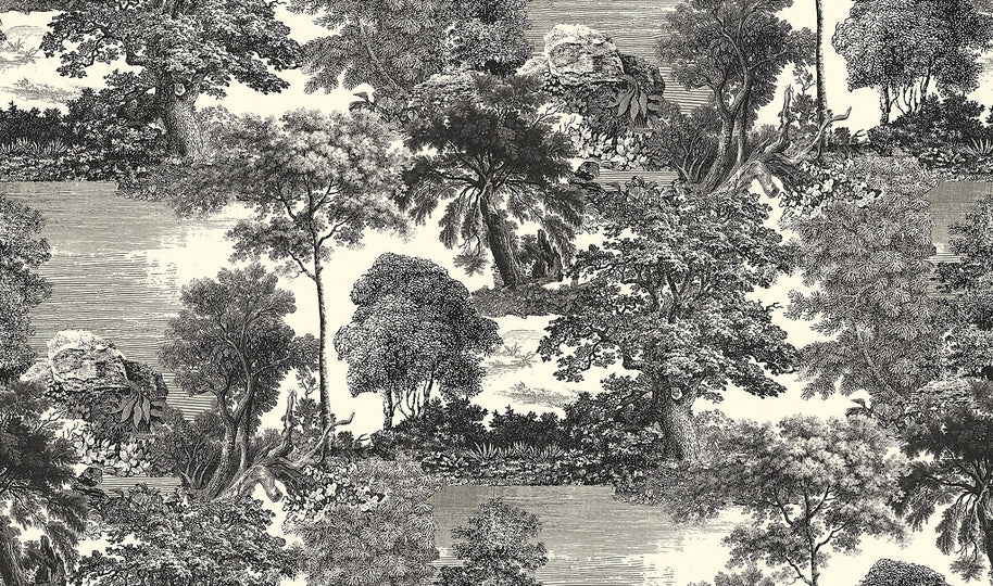 Amazone salcey forest