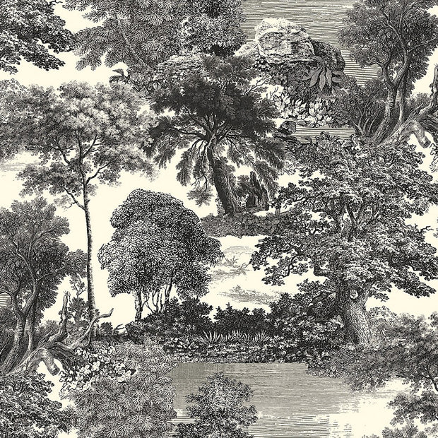 Amazone salcey forest