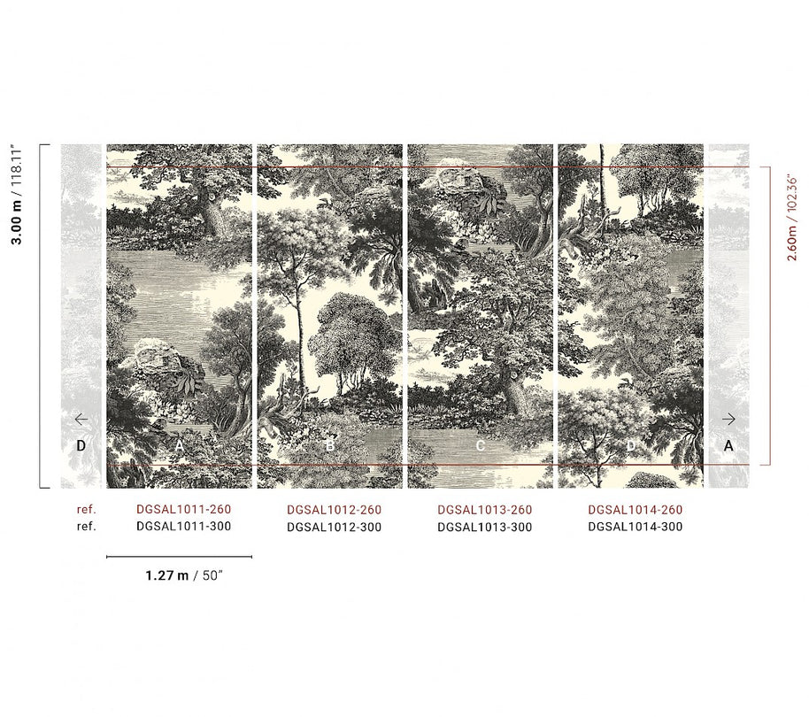 Amazone salcey forest