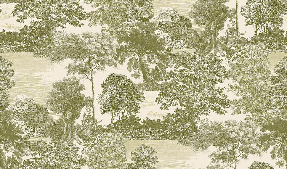 Amazone salcey forest