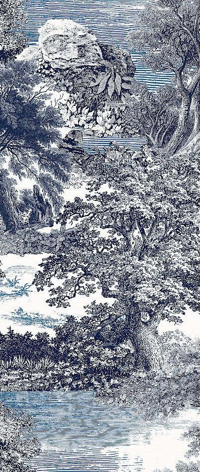 Amazone salcey forest