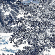 Amazone salcey forest