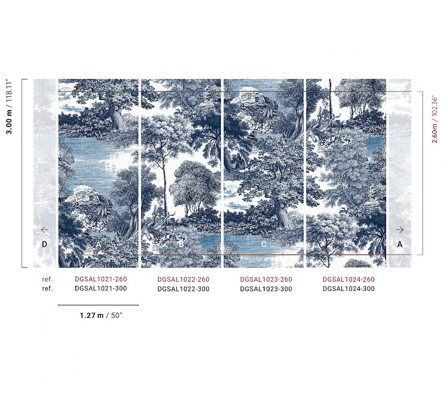 Amazone salcey forest