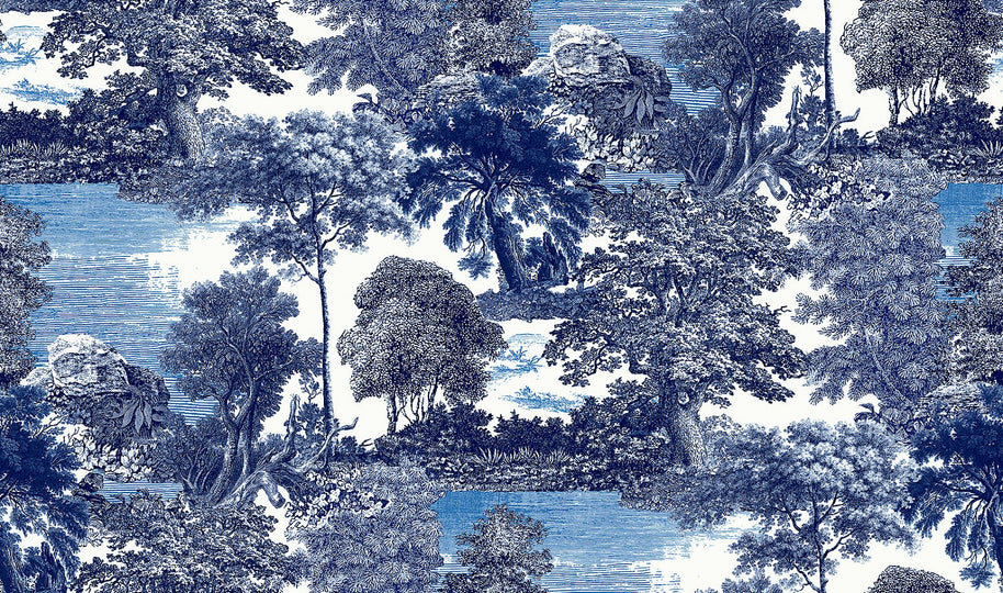 Amazone salcey forest