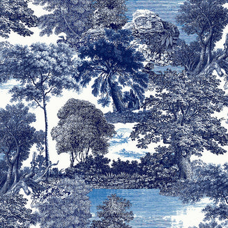 Amazone salcey forest