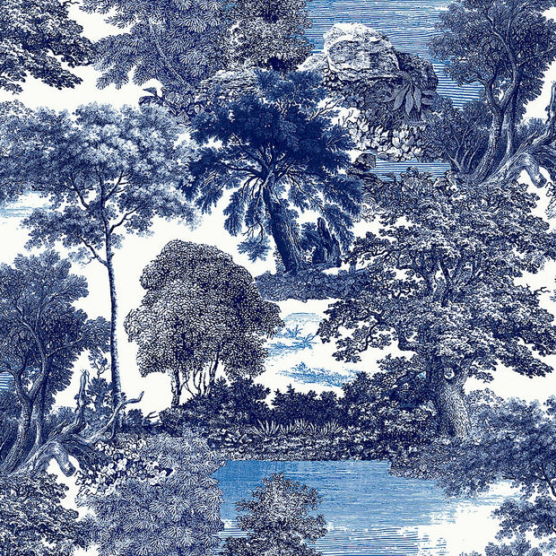 Amazone salcey forest