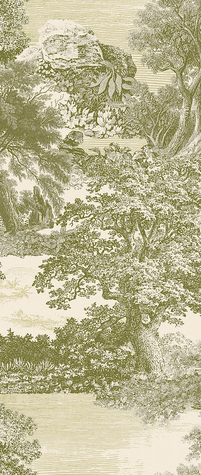 Amazone salcey forest