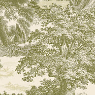 Amazone salcey forest