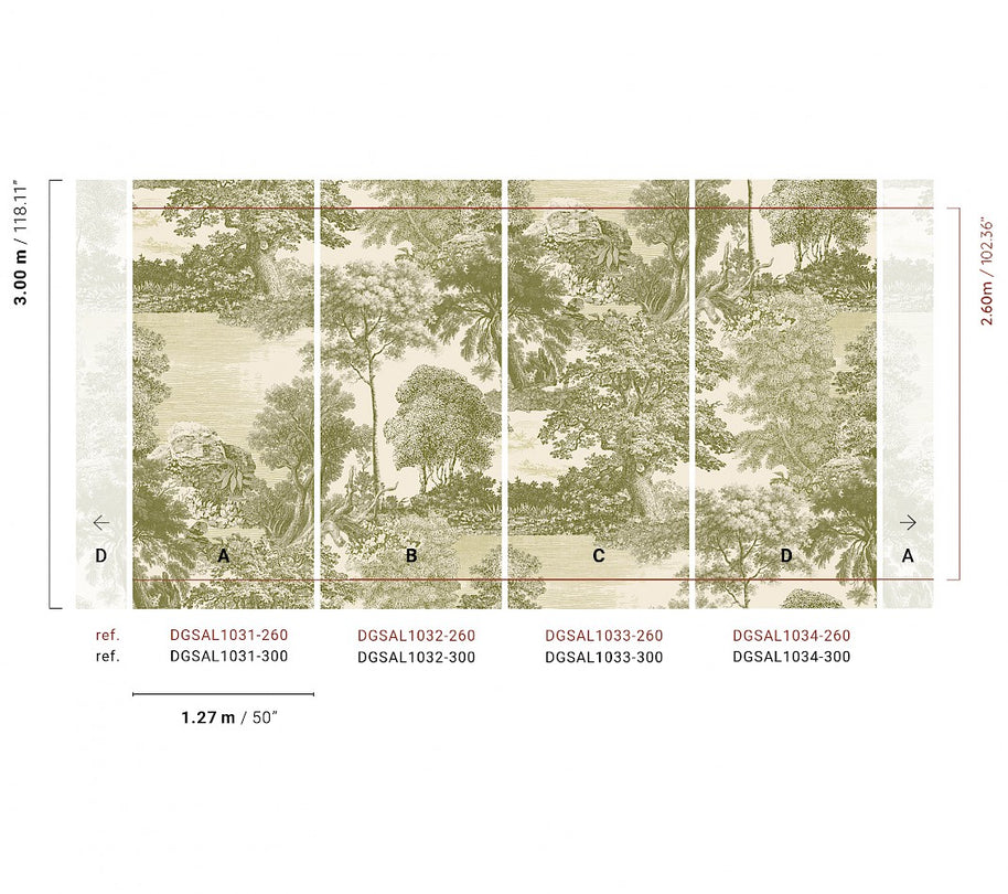 Amazone salcey forest