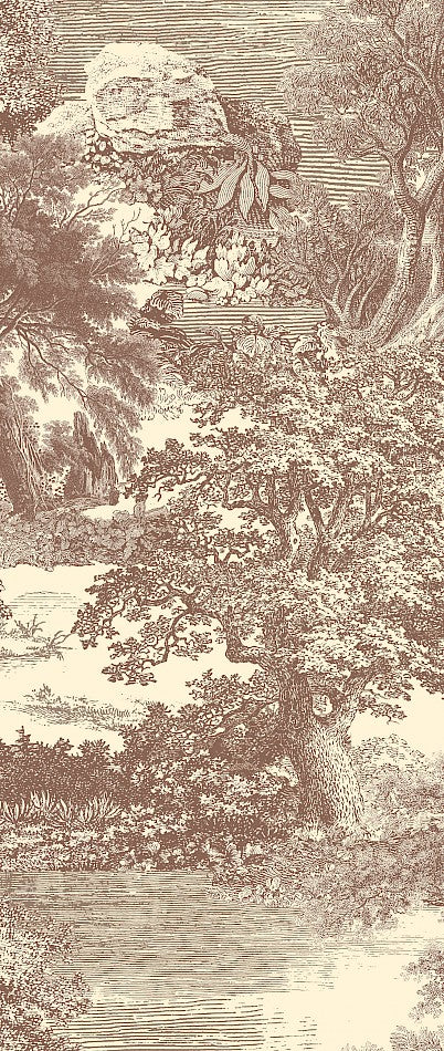 Amazone salcey forest