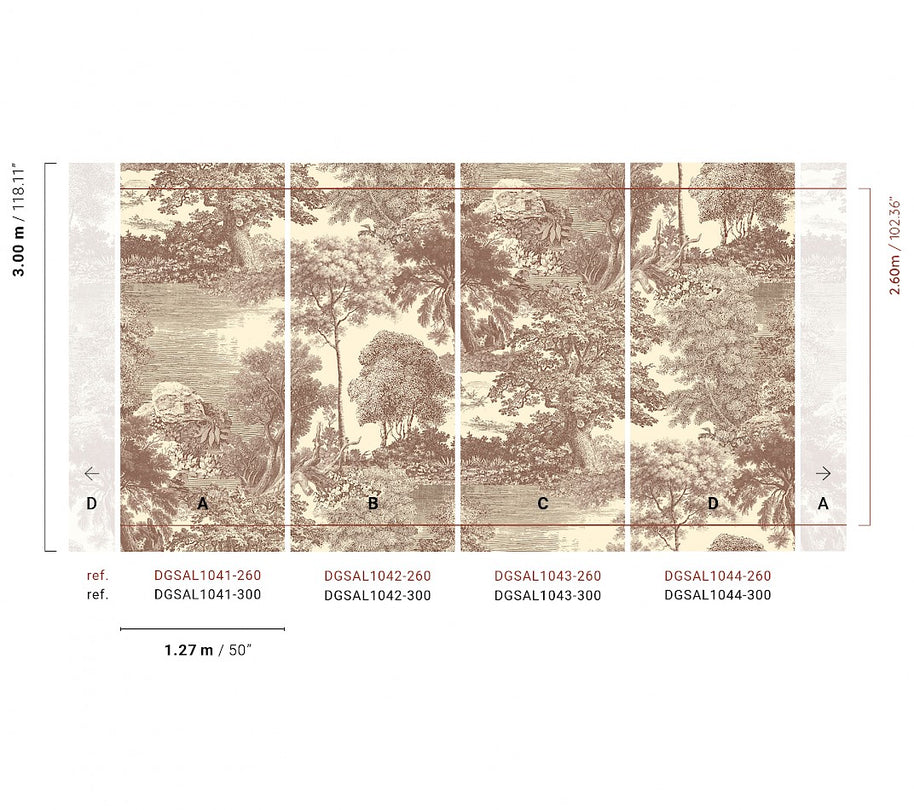 Amazone salcey forest