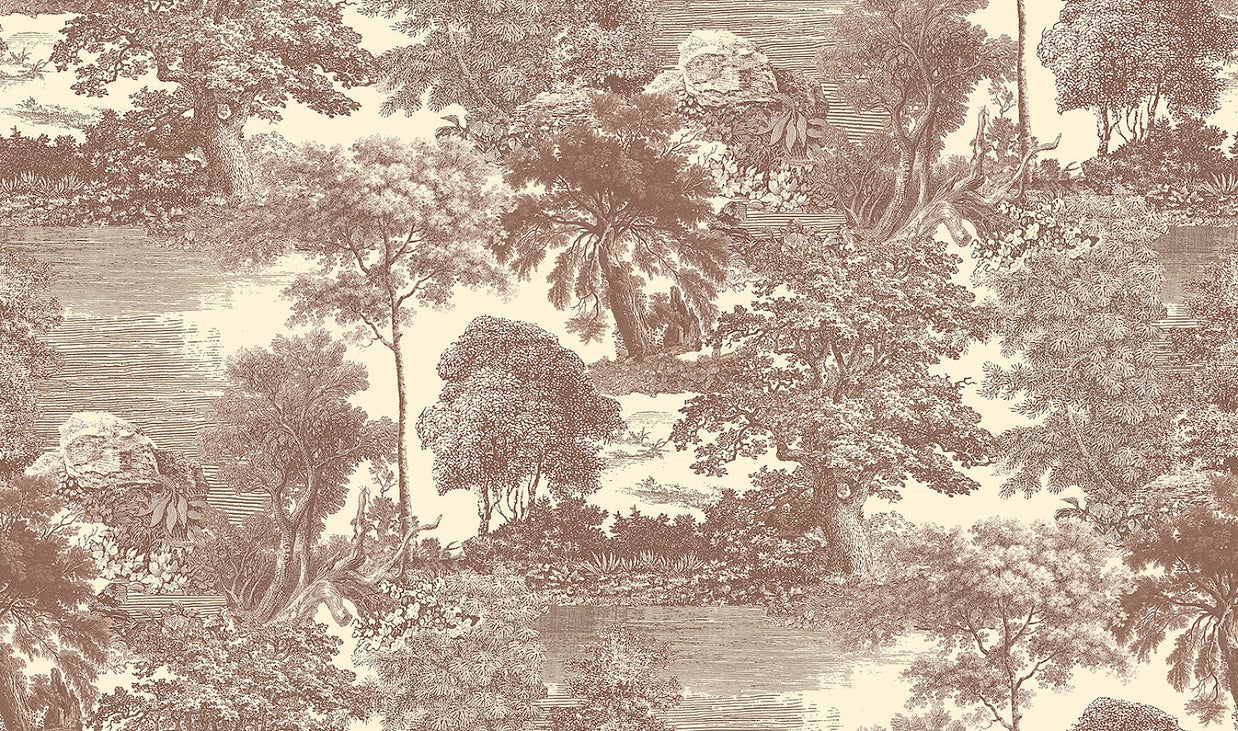 Amazone salcey forest