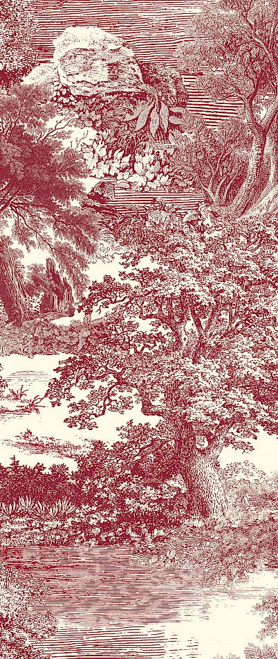 Amazone salcey forest