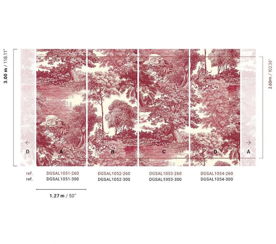 Amazone salcey forest