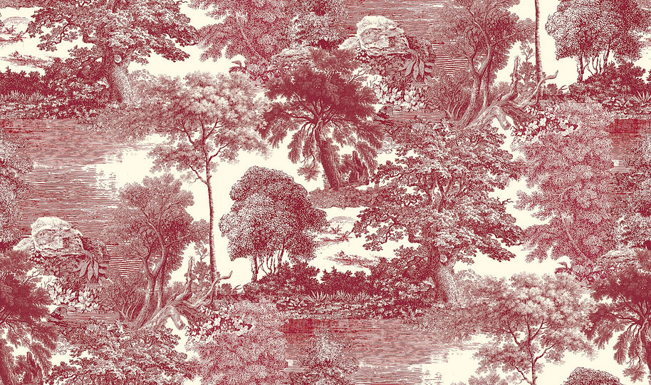 Amazone salcey forest