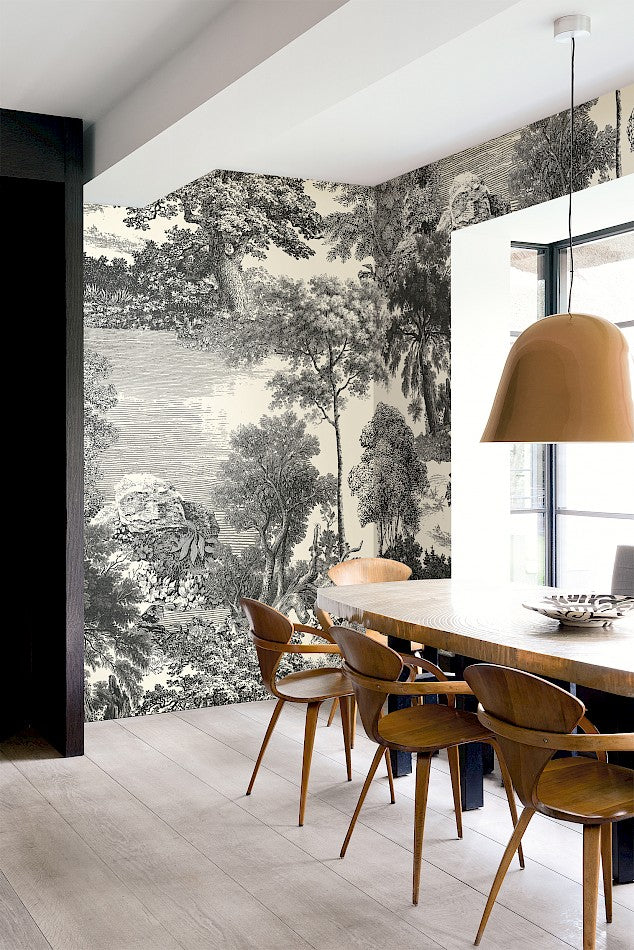 Amazone salcey forest